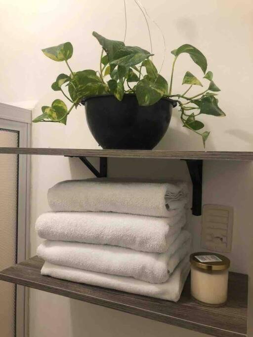 Comfortable And Private House 2 Bedrooms Wifi Parking Free Monterrey Eksteriør billede